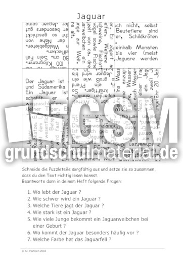 Jaguar.pdf